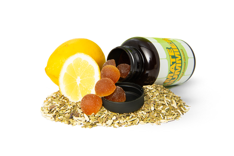 Feed-your-Brain.
Veganes Nahrungsergäzungsmittel mit Mate-Koffein. Koffeingummies mit den Vitaminen B3, B5, B6 und B12. Ein Fokus Supplement.
