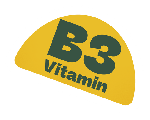 Feed-your-Brain.
Veganes Nahrungsergäzungsmittel mit Mate-Koffein. Koffeingummies mit den Vitaminen B3, B5, B6 und B12. Ein Fokus Supplement.
