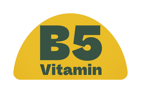 Feed-your-Brain.
Veganes Nahrungsergäzungsmittel mit Mate-Koffein. Koffeingummies mit den Vitaminen B3, B5, B6 und B12. Ein Fokus Supplement.
