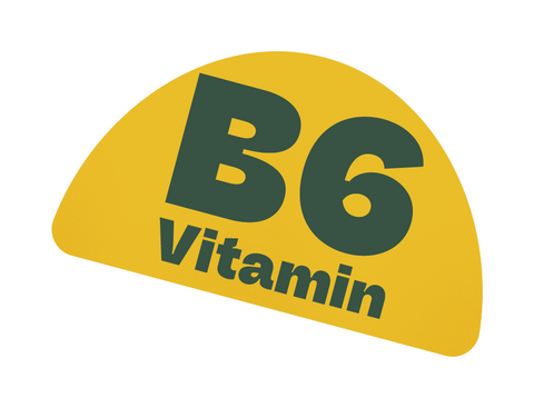 Feed-your-Brain.
Veganes Nahrungsergäzungsmittel mit Mate-Koffein. Koffeingummies mit den Vitaminen B3, B5, B6 und B12. Ein Fokus Supplement.