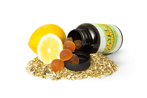 Dynabites Mate Gummies, Natürliche Energie - Gummis mit Mate - Extrakt und B - Vitaminen, Vegan, Glutenfrei - dynabites - Dynabites